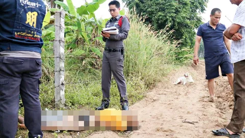 สุดสะเทือนใจ! เจ้าขาวหมาผู้ซื่อสัตย์ เฝ้าศพนายหญิงไม่ห่าง กว่า 3 วัน