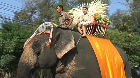 ฮือฮา กีฬาสีโรงเรียนที่ชัยนาท ปิดถนนแห่ช้าง แต่ละชุดสุดอลังการ(ชมคลิป)