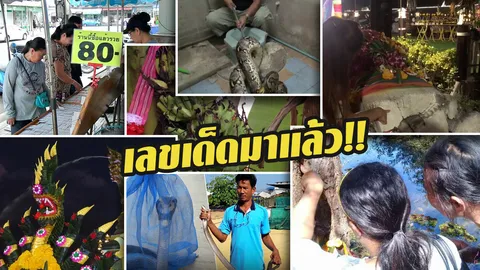 รวมเลขเด็ดข่าวไทยรัฐ ทุกคนยังมีลุ้น รีบดูก่อนโค้งสุดท้ายวันหวยออก