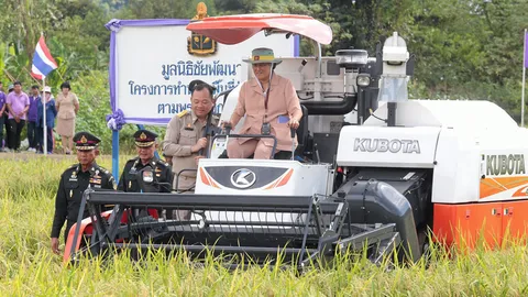 พระเทพฯทรงเกี่ยวข้าว