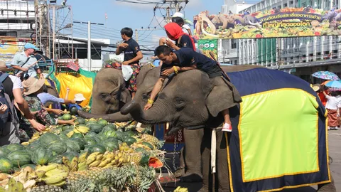 ธรรมดาได้ไง สุรินทร์เลี้ยงใหญ่โต๊ะจีนช้าง จัดเต็มสารพัดเมนูโปรด