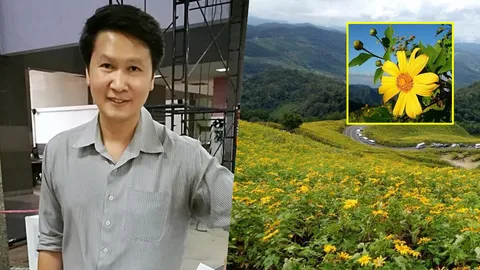 อ.เจษฎา ยันอีกเสียง 'บัวตอง' เอเลี่ยนสปีชีส์แสนสวย ทำลายระบบนิเวศ