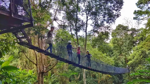 ททท.หนุนคนเจนวาย-วัยเกษียณ เที่ยวภาคเหนือ สัมผัสประสบการณ์ใหม่ๆ