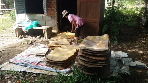 สภาเกษตรกรฯ ชง 5 ข้อ เสนอนายกฯ ดันปัญหาราคายาง เป็นวาระแห่งชาติ