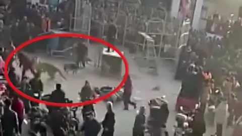 เสือหลุด! กลางคณะละครสัตว์จีน คนแตกฮือหนีกระเจิง (คลิป)