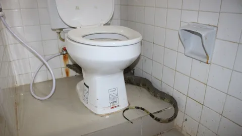 นานๆ มาที ตัวเงินตัวทองเข้าห้องน้ำ ม.ราชภัฏ อาจารย์หญิงเจอกรี๊ดลั่น