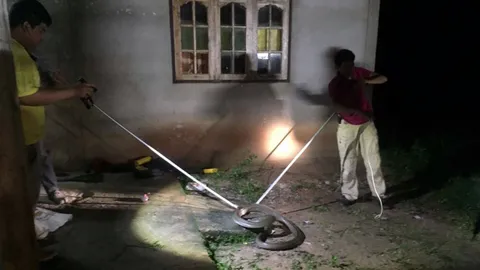 เห็นเลี้อยเข้ารถ จงอางใหญ่พึ่งไออุ่น​ กู้ภัยยะลาเร่งจับคืนธรรมชาติ