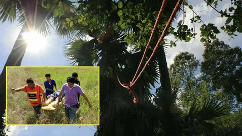 หนุ่มใหญ่ตายสูง! ปีนต้นขึ้นไปเก็บลูกตาล ช็อกสิ้นใจอยู่บนยอด 