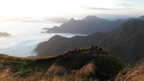 'ภูชี้ฟ้า'สุดฟิน 11 องศา นทท.แห่โต้ลมหนาว ชมทะเลหมอก