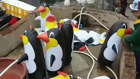 ชาวจีนสุดเคือง! สวนสัตว์ขี้โม้บอกมีเพนกวิน ไปดูถึงผงะ เป็นตุ๊กตาสูบลม