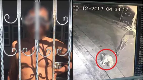 จบปัญหาถ้ามีกล้องวงจรปิด! หนุ่มงัดคลิปตอกหน้า 'ลุง' พาตูบมาขี้หน้าบ้าน