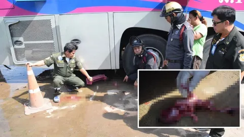 ผงะ! ศพเด็กบนรถทัวร์ ซากทารกในถังปฏิกูล เร่งล่าสาวหาดใหญ่ขอลงกลางทาง