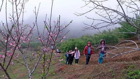 บูมหมู่บ้านเกษตรจุดเช็กอิน ฝันดึงนักท่องเที่ยวไทย-เทศ