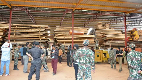 ตะลึงไม้ 'พันล้าน' วัดจีนดัง ซุกตั้งรง.แปรรูป