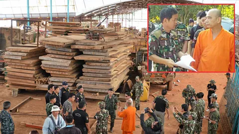 ไม้พันล้าน 