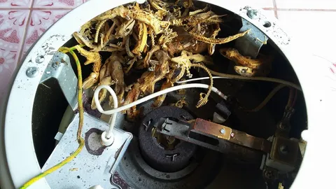 ขนลุก! หนุ่มโพสต์ภาพซากจิ้งจกหลายสิบตัว อัดแน่นใต้หม้อหุงข้าว