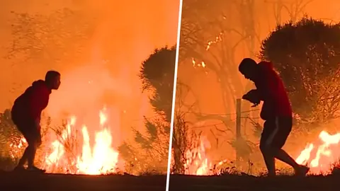  ไฟไหม้ป่าLAยังระทึก อพยพแล้ว2แสน! น้ำตาจะไหล หนุ่มช่วยกระต่ายรอดตาย (คลิป)