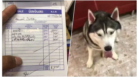 แทบช็อก! หนุ่มพาไซบีเรียนไปอาบน้ำ เจอบิล 2,800 แพงเกินไปไหม?