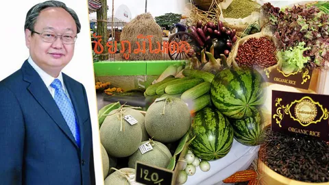 8หมู่บ้านเกษตรอินทรีย์ จุดเช็กอินคนรักสุขภาพ