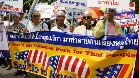 กังวล..หมูมะกัน