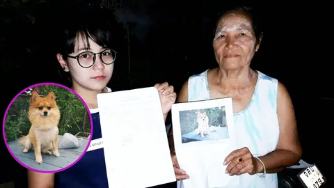 สาวศรีราชาน้ำตานอง โจรลักน้องปอมฯสุดรัก ถุงคลุมอุ้มขึ้นรถ วอนขอคืน 