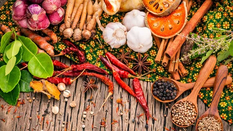 เกษตรยกเครื่องมาตรฐานพืชสมุนไพร ติดปีกสินค้าไทยก้าวไกลลุยตลาดโลก