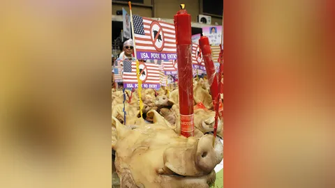 ปฏิเสธหมูมะกัน..ไม่ขัดกฎ WTO