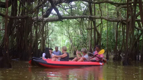 พาทัวร์ชวนเที่ยว 'คลองสังเน่ห์' Little Amazon ดงดิบแห่งพังงา 