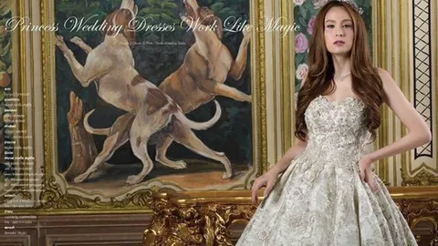 งดงามดั่งเจ้าหญิง...ในฝัน  