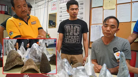 รวบหนุ่มจีนคาสุวรรณภูมิ แก๊งนอแรด-มีจนท.เอี่ยว