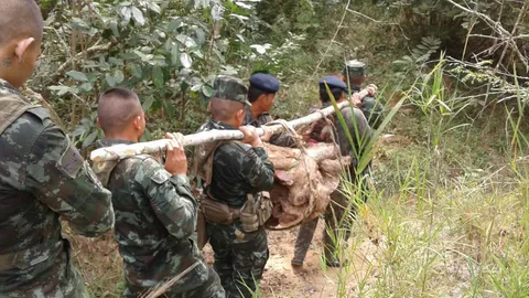 ปลัดฯ พาชาวบ้านฝึกลาดตระเวนตรวจป่า เจอของจริงไม้พะยูงถูกตัดกองโต