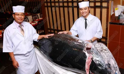 HONMONO SUSHI สุดยอดร้านอาหารญี่ปุ่นระดับพรีเมี่ยม