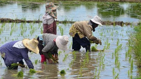 สศก.ปลื้มเกษตรกรอยู่ดีกินดีขึ้น!