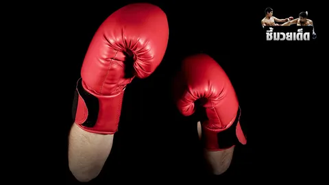 เพชรทักษิณจะชนะจอมพิชิตสนุกอีกครั้ง ไกรเพชร–จอมพิฆาต–ชลธาร–ต้องลุ้น