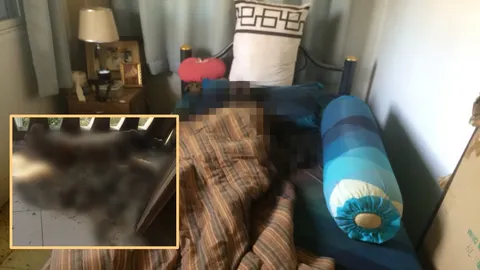 สลด ชายชรากับสุนัขคู่ใจ ตายด้วยกัน ศพเน่าเปื่อยอยู่ในบ้าน 