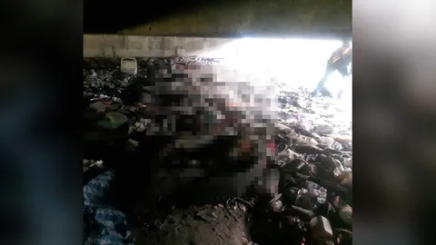 เซ่นลมหนาวเมืองกรุง คนเร่ร่อนไม่สวมเสื้อ นอนตายใต้สะพานห้าแยกลาดพร้าว