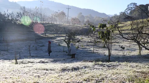 ที่นี่อ่างขาง! อุณหภูมิ -1.2 องศา น้ำค้างแข็งขาวโพลน