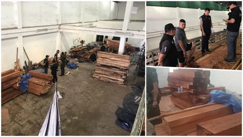กองปราบนำทีมทลายโกดังซุกไม้เถื่อน ย่านบางพลี จ่อส่งนอก มูลค่ากว่า2ล้าน (คลิป)