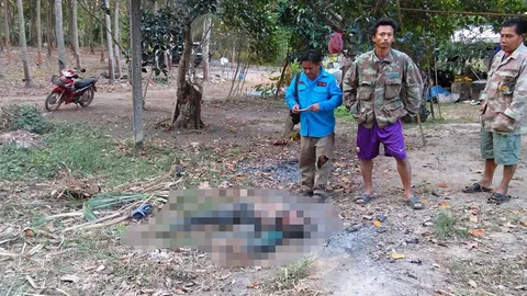 ช้างฆ่าคลั่ง ไล่กระทืบคน ร่างแหลกคากองไฟ ฤทธิ์สีดอ 'เขาชะเมา' อาละวาด!