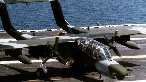 “ม้า​ป่า” ฟื้น​คืนชีพ