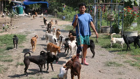'คู่รัก'รับเลี้ยงหมา-แมวจรจัดกว่า 300ตัว แบกภาระไม่ไหว วอนผู้ใจบุญช่วย