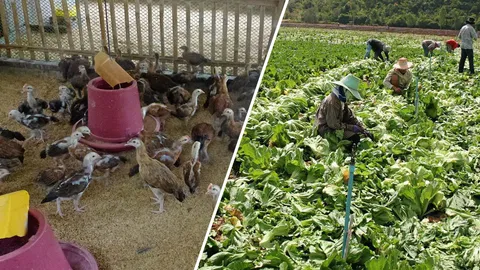 ชาวบ้านอยู่ไม่ได้