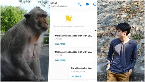 ลิงเขาสามมุขยุค 4.0! จิ๊กมือถือหนุ่ม กดรับวิดีโอคอล แถมส่งมือทักทาย