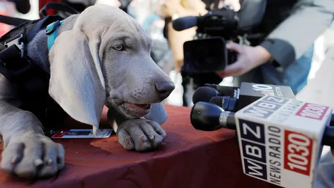 ขอเสียง “ตูบ” หน่อย