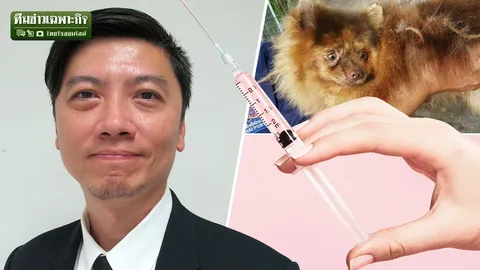 ต่างประเทศก็มี! ฉีดฟิลเลอร์ให้หมา สัตวแพทย์ไทยวอนอย่าทำ กินลำบากเพราะหน้าเบี้ยว (คลิป)