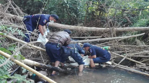 ญาติใครหาย? ศพชายนิรนามเหลือแต่หนังหุ้มกระดูก ติดซากกอไม้ลำห้วยชู