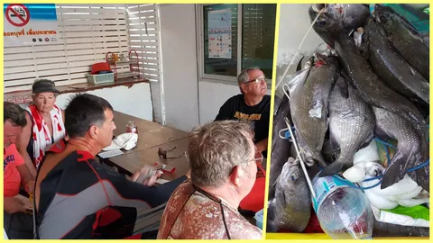 รวบ 6 เฒ่าฝรั่งเศส มาเที่ยวภูเก็ต เช่าเรือออกทะเลดำยิงปลานกแก้ว  