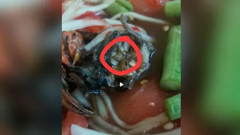 สาวตกใจ! กินส้มตำเจอหนอนในปู ชาวเน็ตแซวทีปลาร้ายังกินกันได้ (คลิป)