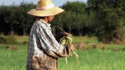 โพลชี้ผลผลิตราคาดี ทำเกษตรกรไทยยิ้มแฉ่งแฮปปี้ ภาคใต้ตอนบน สุขสุดๆ