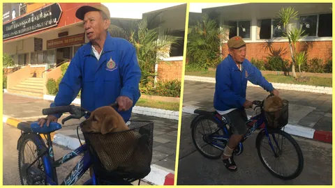 มารับหนูด้วย! อดีตครูนำหมาน้อยใส่ตะกร้าแจ้งความ คาดตกจากรถ 